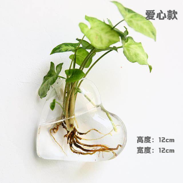 Handmade  New Hexagonal  Wall Clear Terrarium Vase - Image 6