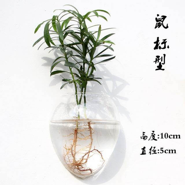 Handmade  New Hexagonal  Wall Clear Terrarium Vase - Image 3