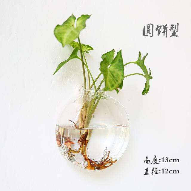 Handmade  New Hexagonal  Wall Clear Terrarium Vase - Image 9