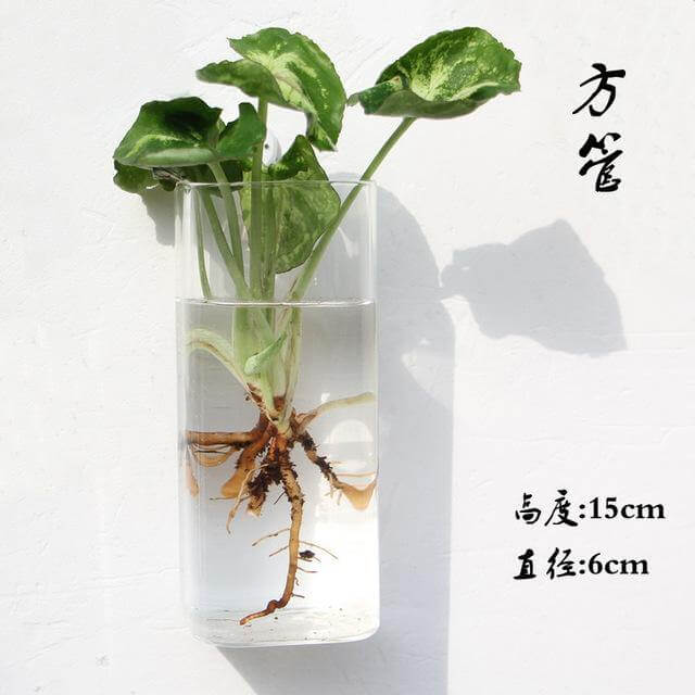 Handmade  New Hexagonal  Wall Clear Terrarium Vase - Image 7