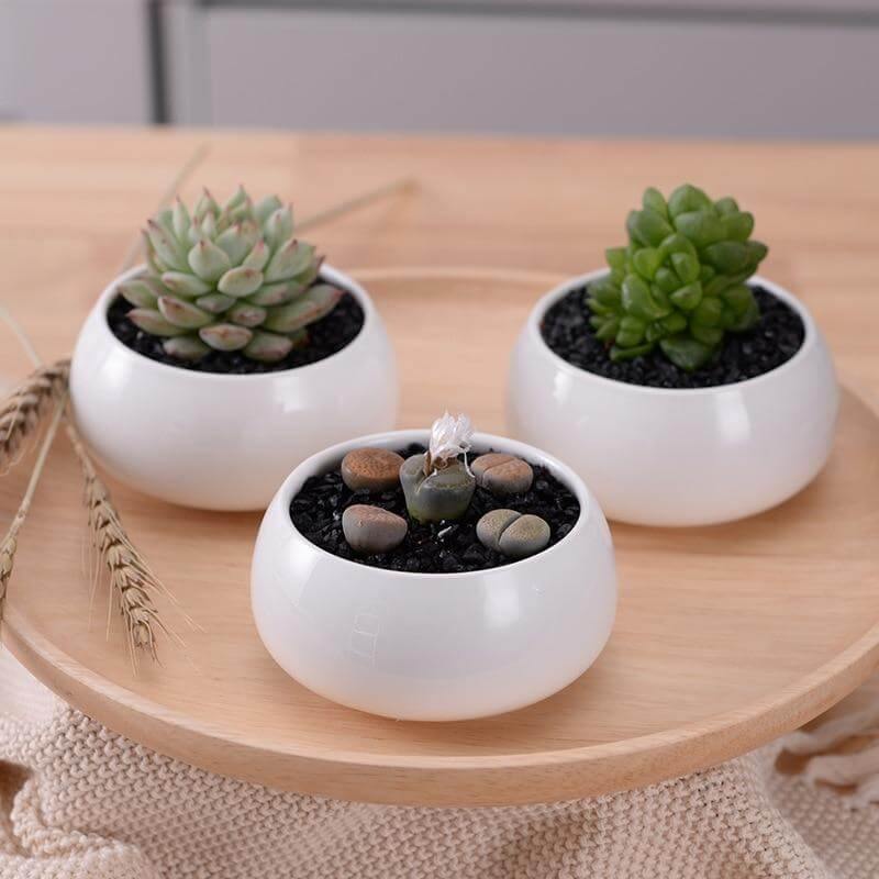 Modern Minimalist White Ceramic Flowerpot - Image 3
