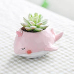 Creative Animals Mini Decorative Flower Pots - MaviGadget