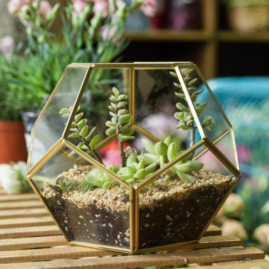 Geometric Terrarium Glass Vase - Image 0