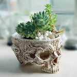 Hand Carved Skull Flower Pot Home Decoration - MaviGadget