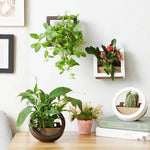 2 Pcs/Lot Wall Hanging Plant Pot