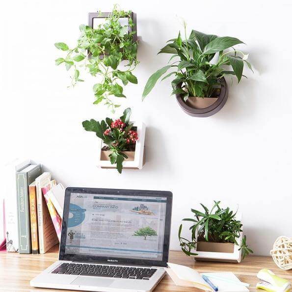 2 Pcs/Lot Wall Hanging Plant Pot - Image 1