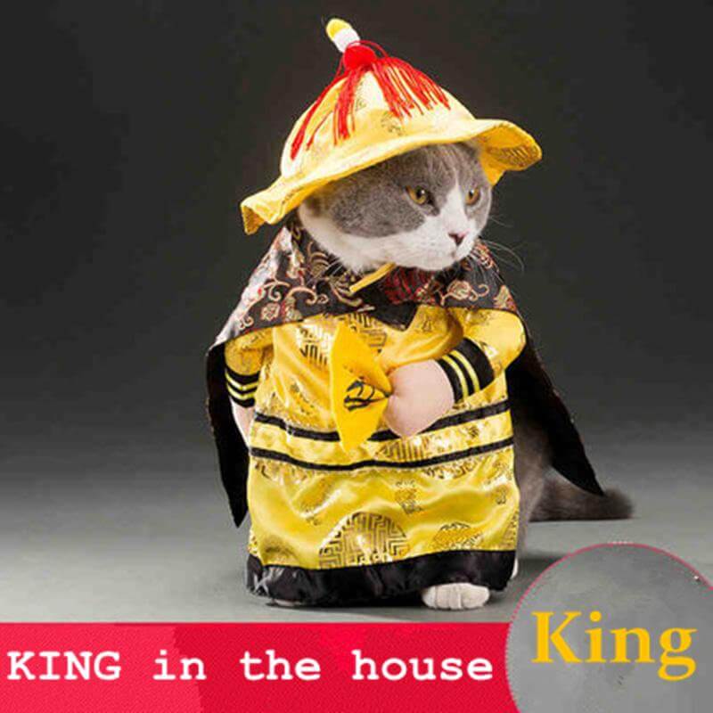 Golden King Empire Cosplay Pet Costumes - Image 0
