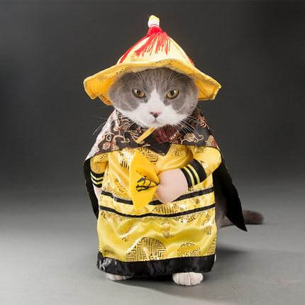 Golden King Empire Cosplay Pet Costumes - Image 3