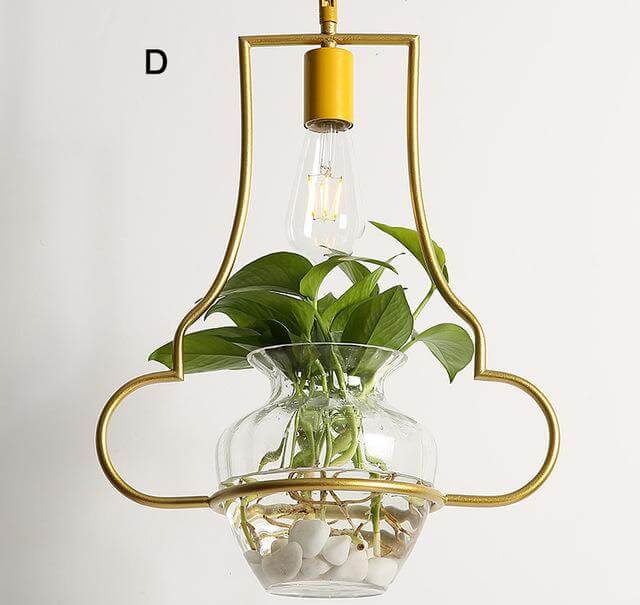 Modern Decorative Hanging Lights