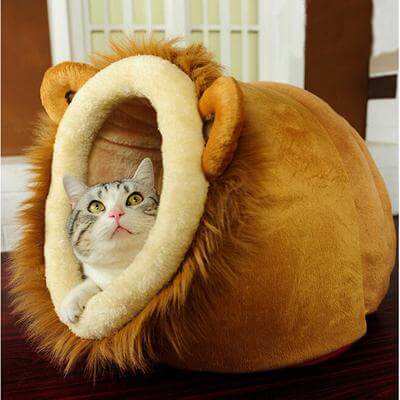 Lion Leopard Giraffe Pet Nest - Image 0