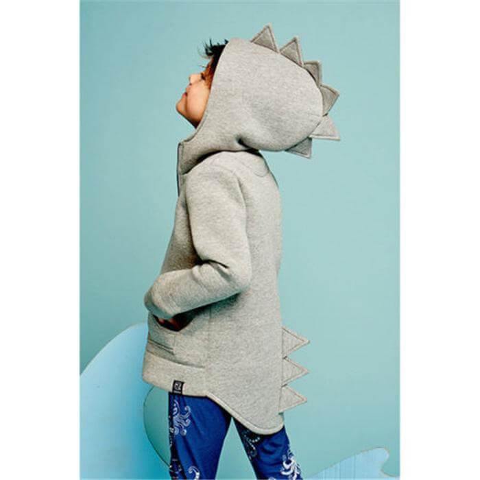 Winter Dinasour Hoodies for Kids