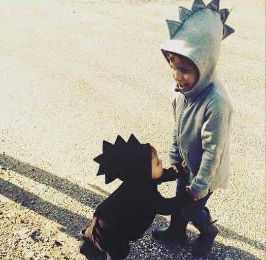 Winter Dinasour Hoodies for Kids - Image 6