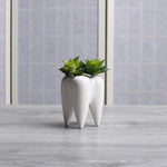 Tooth Shape White Ceramic Modern Flower Pot - MaviGadget