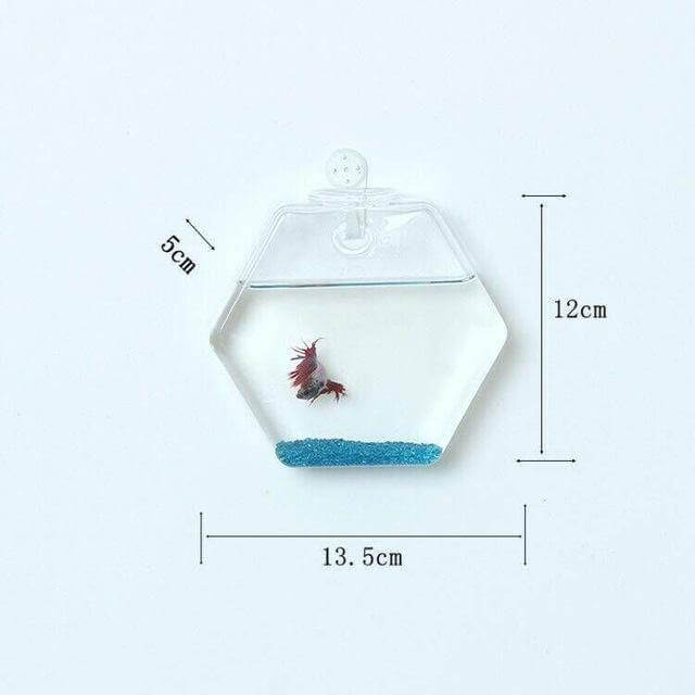 Handmade  New Hexagonal  Wall Clear Terrarium Vase - Image 8