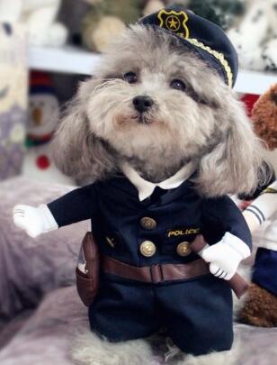 Policeman Dog Costume - Image 2