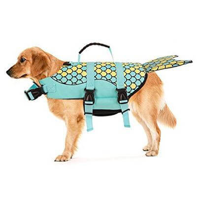 Shark Doggie Swim Vest - Image 1