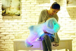 50cm Luminous Dog Plush Glowing Kid Toys - MaviGadget