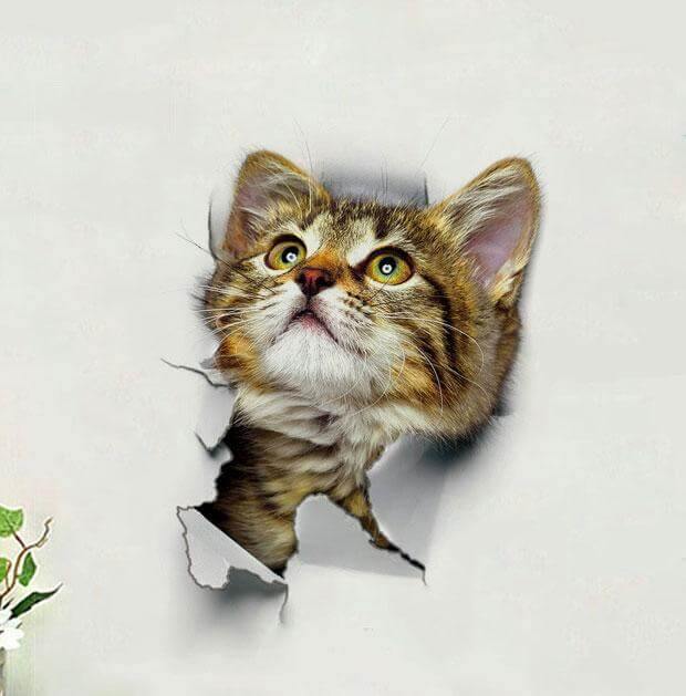3D  Pet Wall and Bathroom Stickers - Image 12