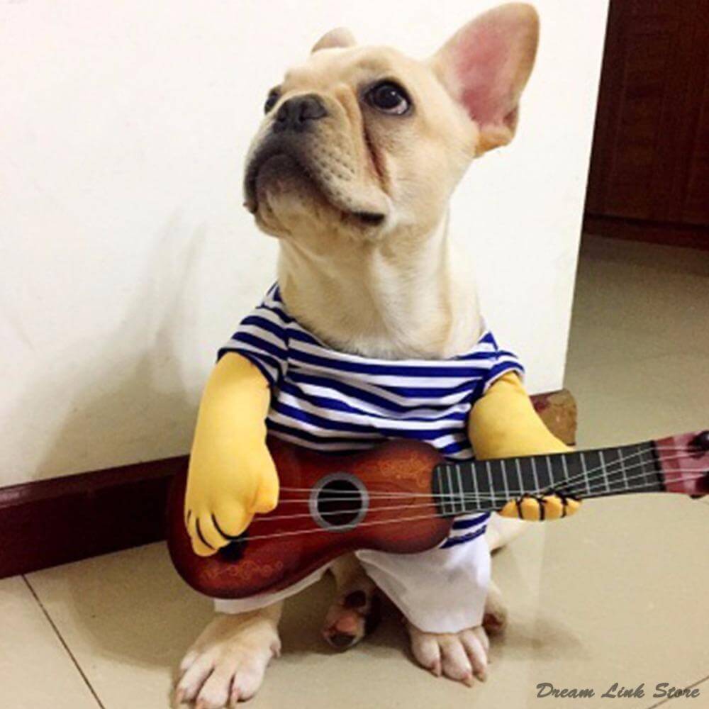 Funny Guitar Pet Costume