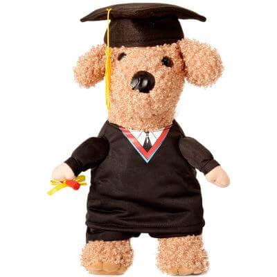 Pet Professor Costume - Image 4