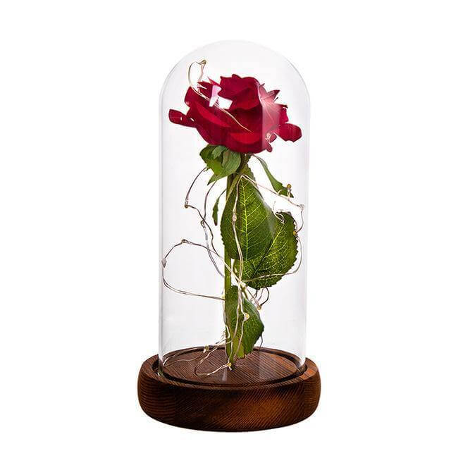 1Pcs Beast Red Rose Flower Vase