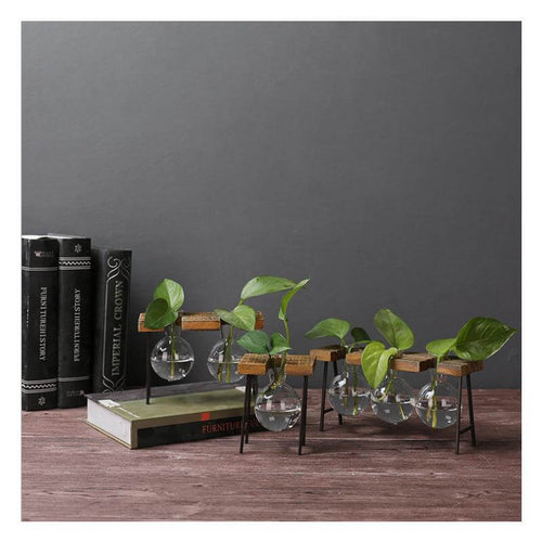 Creative Home Decoration Hydroponic With Iron Feet Plant Vase - Image 0