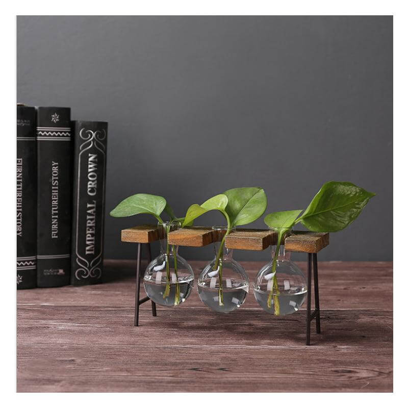 Creative Home Decoration Hydroponic With Iron Feet Plant Vase - Image 5