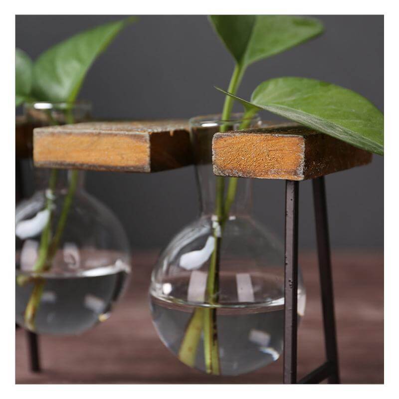 Creative Home Decoration Hydroponic With Iron Feet Plant Vase - Image 4