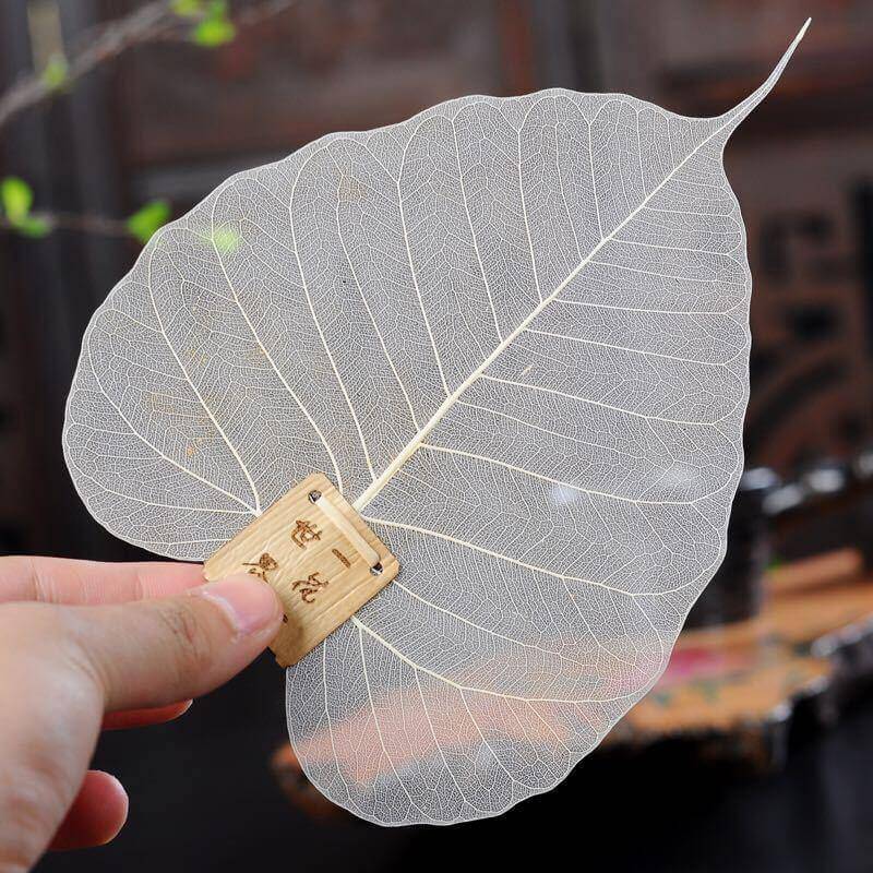 Large Leaf Tea Filter - Image 3