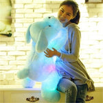 50cm Luminous Dog Plush Glowing Kid Toys