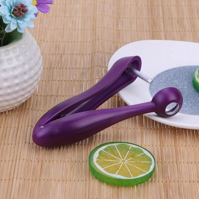 Cherry Pitter Remover Gadget