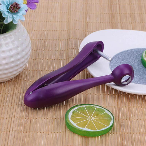 Cherry Pitter Remover Gadget - Image 0