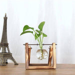 Creative Transparent Wooden Vase Decoration - MaviGadget