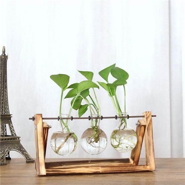 Creative Transparent Wooden Vase Decoration - MaviGadget