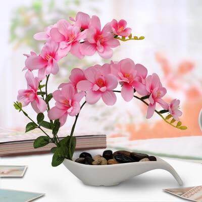 Artificial Butterfly Orchid Flowers Set - MaviGadget