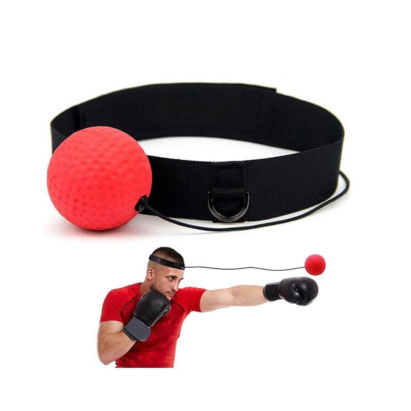 Boxing Fun Training Gadget - Image 0