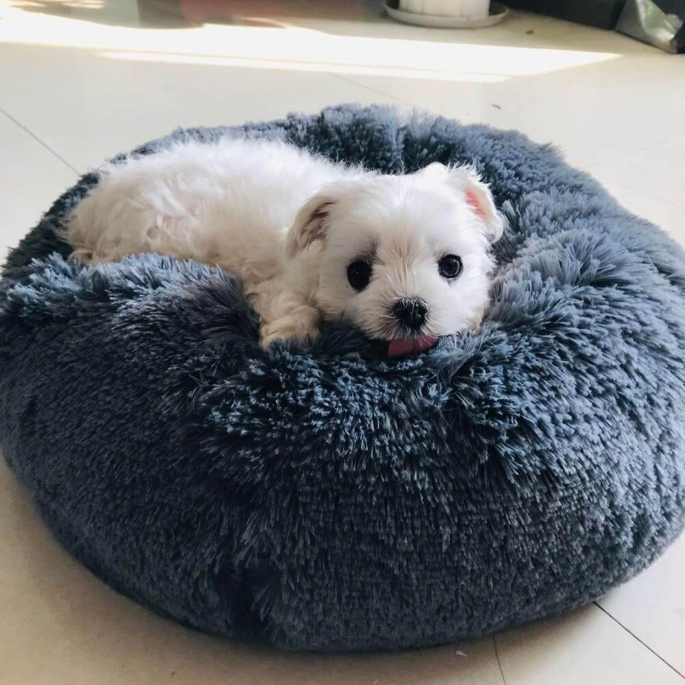 Super Soft Pet Bean Bag - MaviGadget