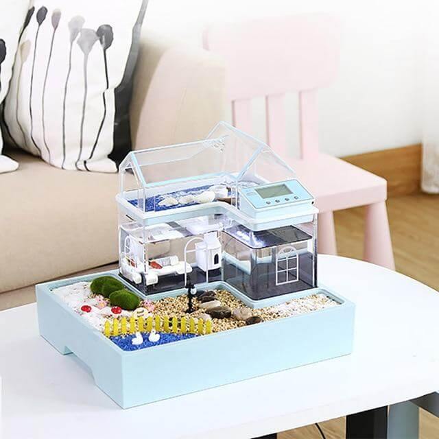 Creative Ecological Mini Fish Tanks - Image 1