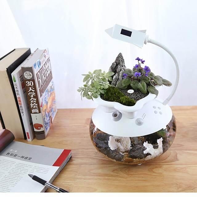 Creative Ecological Mini Fish Tanks - Image 5