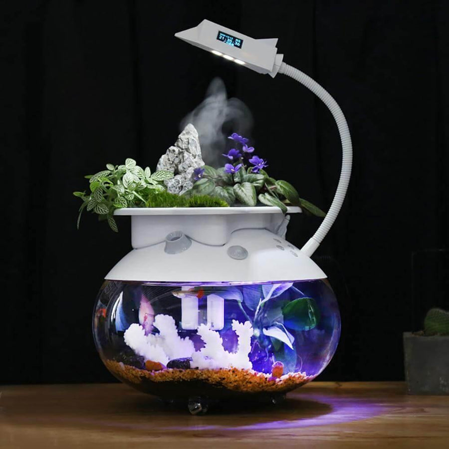 Creative Ecological Mini Fish Tanks - Image 6
