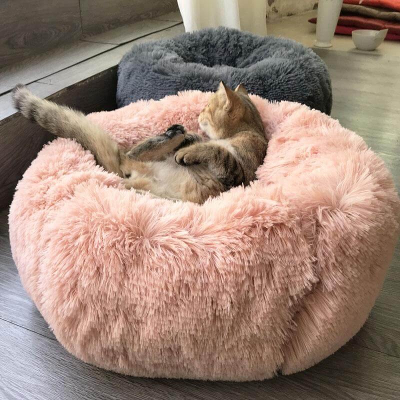 Super Soft Pet Bean Bag - MaviGadget