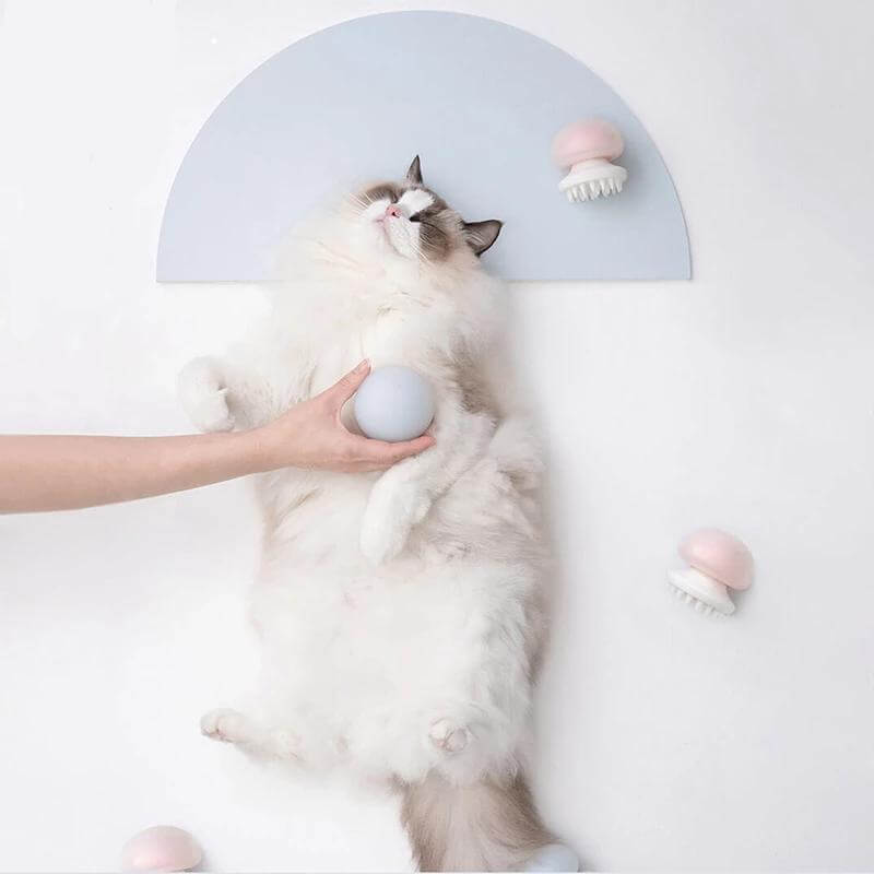 Jellyfish Pet Massager - Image 0