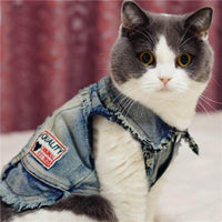 Pet Cowboy Jean Jacket - Image 0