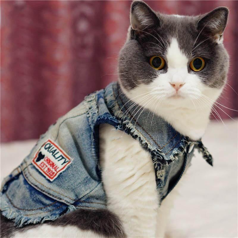 Pet Cowboy Jean Jacket - Image 0