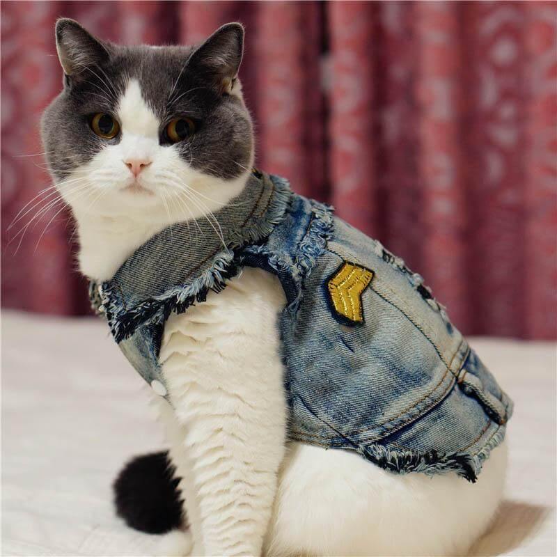 Pet Cowboy Jean Jacket - Image 3