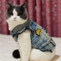 Pet Cowboy Jean Jacket - Image 3