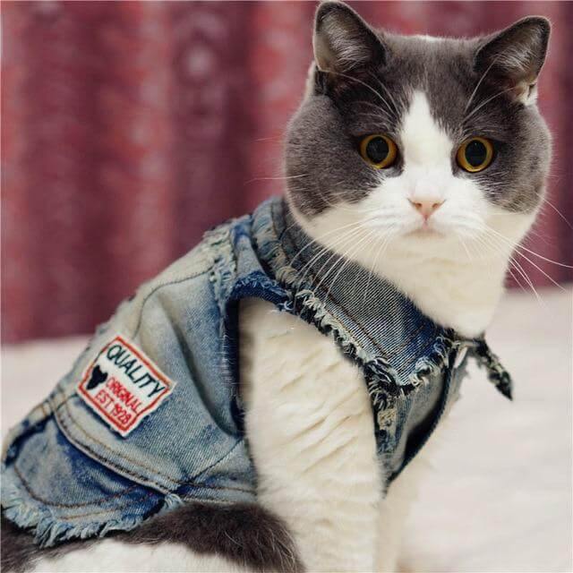 Pet Cowboy Jean Jacket - Image 2