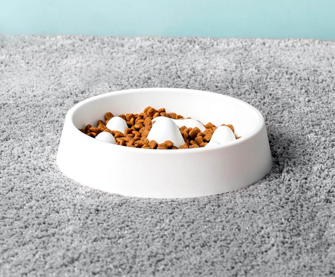 Modern Pet Slow Food Bowl