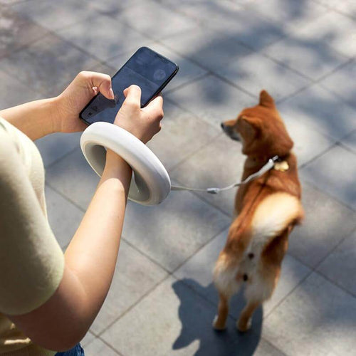 Retractable LED Leash Ring Collar - Image 0