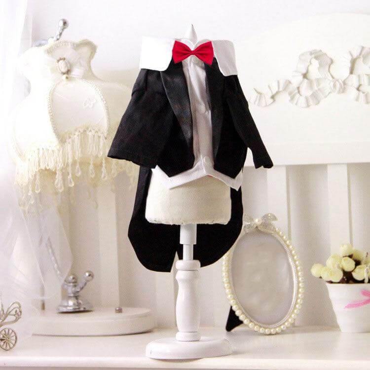 Pet Suit Costume - Image 0